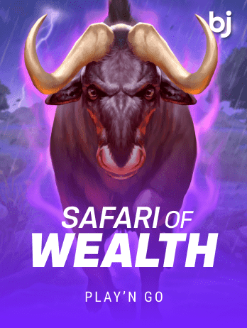 Safari of Wealth game cover